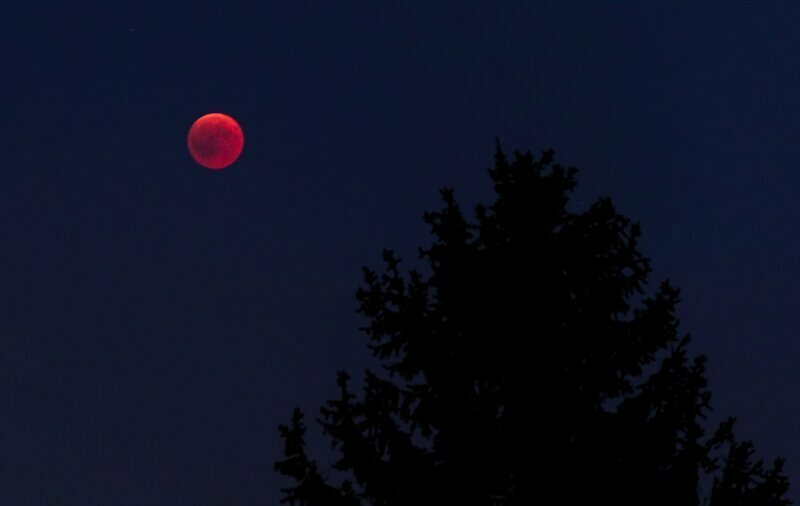 В ночь на субботу жители земли увидят первое лунное затмение 2020