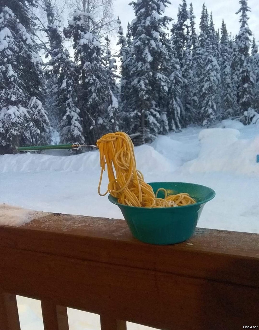 Солянка