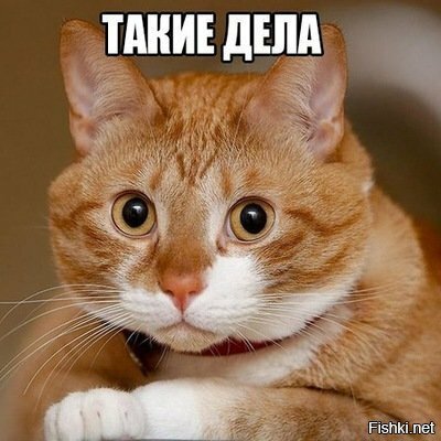Странно, одного токсичного персонажа не было неделю,