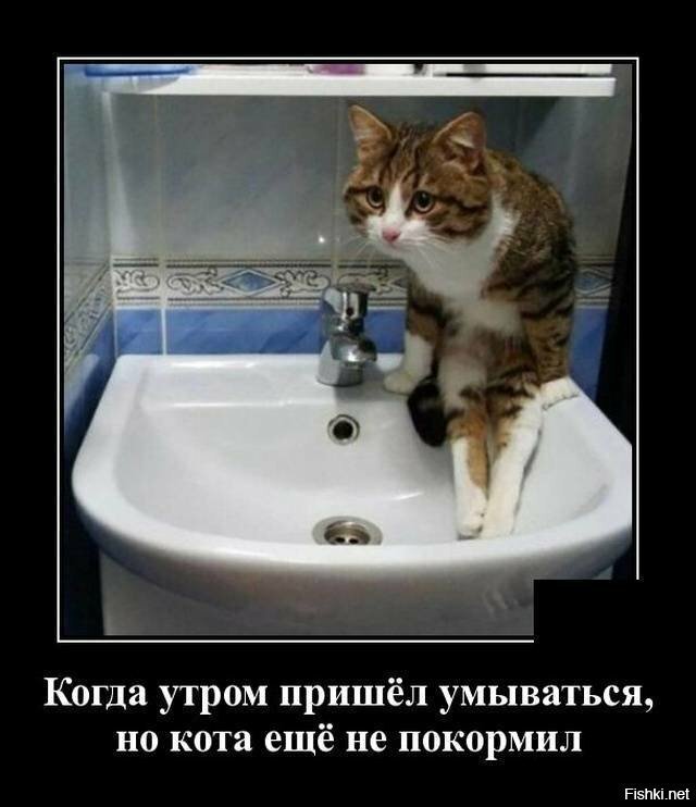 Доброе утро