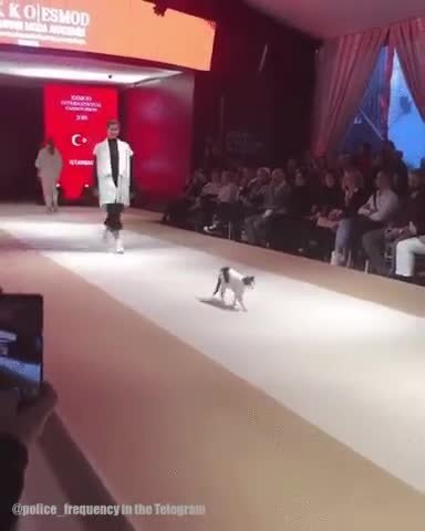 кто тут самый модный