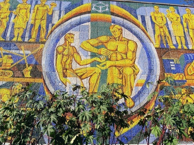 Солянка