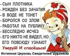 Бобры загрызли Буратино