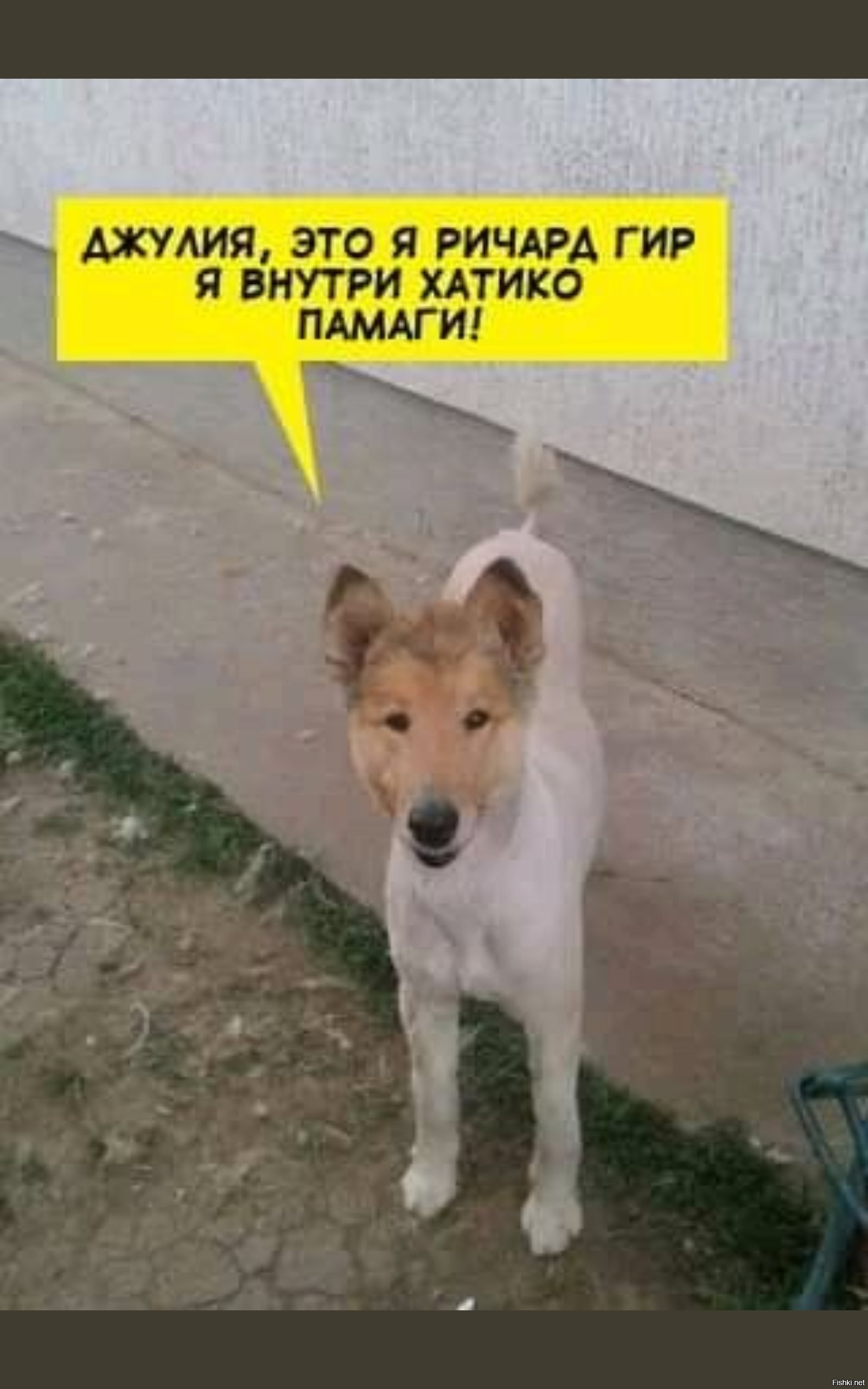 Солянка