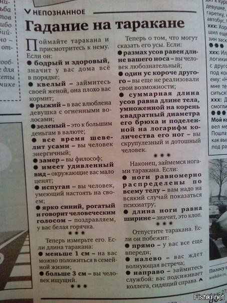 осталось найти таракана