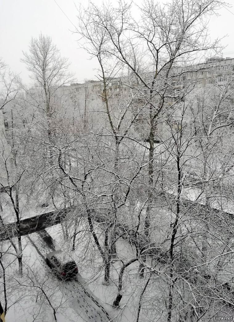 Солянка