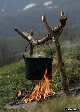 Солянка