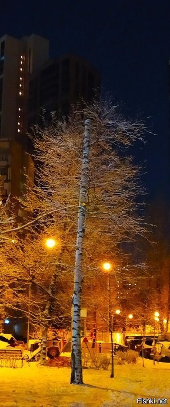 Солянка