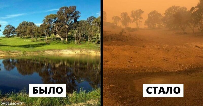19 фото до и после пожаров в Австралии, которые показывают весь ужас случившегося