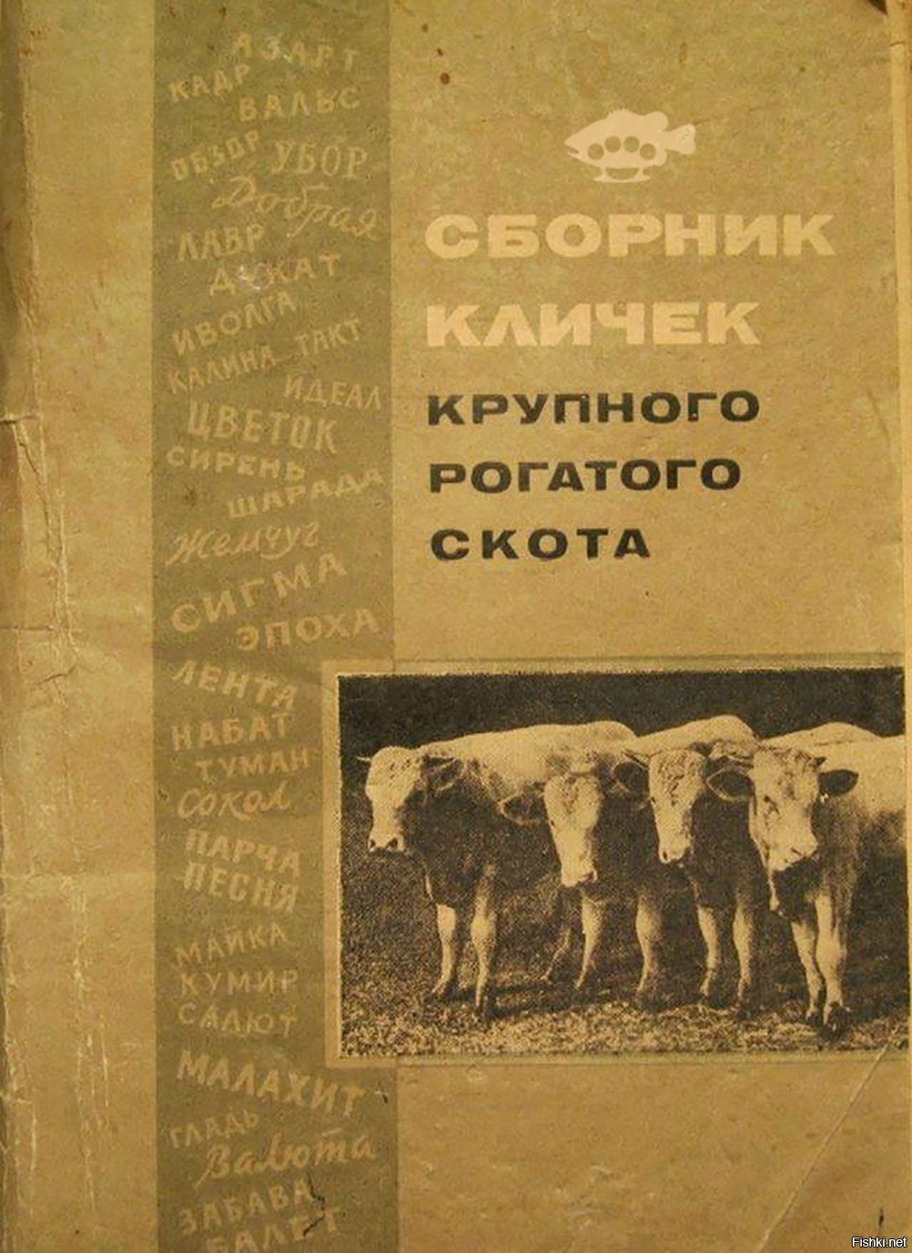 Солянка