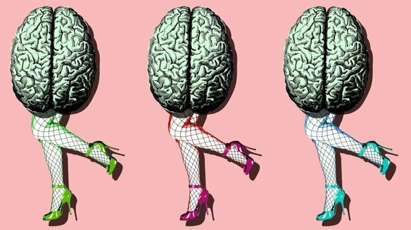 Мозг как самый элегантный сексуальный орган человека