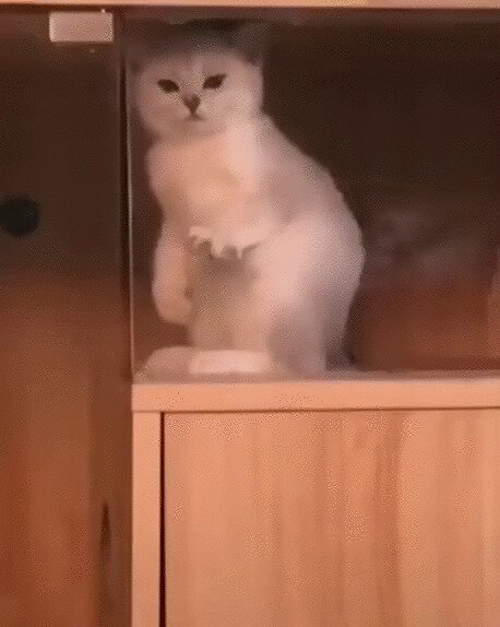 О чем это он задумался