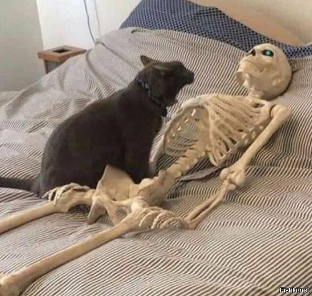 Страшнее кошки зверя нет