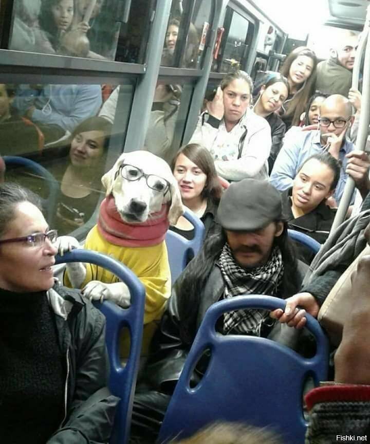 Свой среди чужих