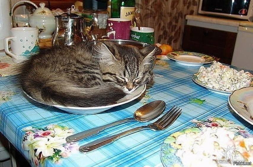 Солянка