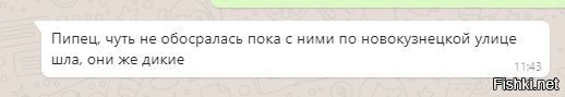 У бродячих собак в центре Москвы какой-то флешмоб