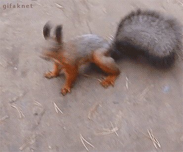Прям не знаю, что это значит
