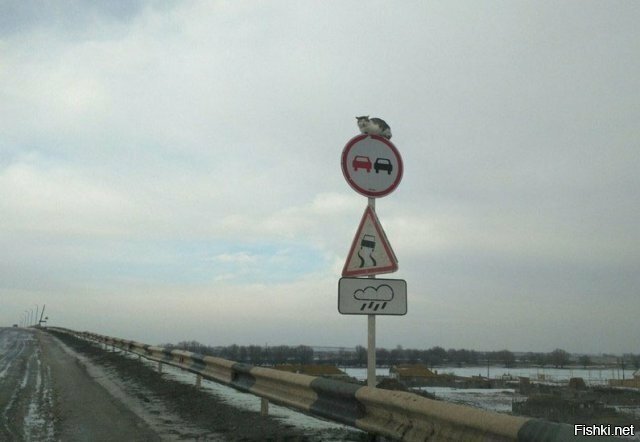 Ангел хранитель
