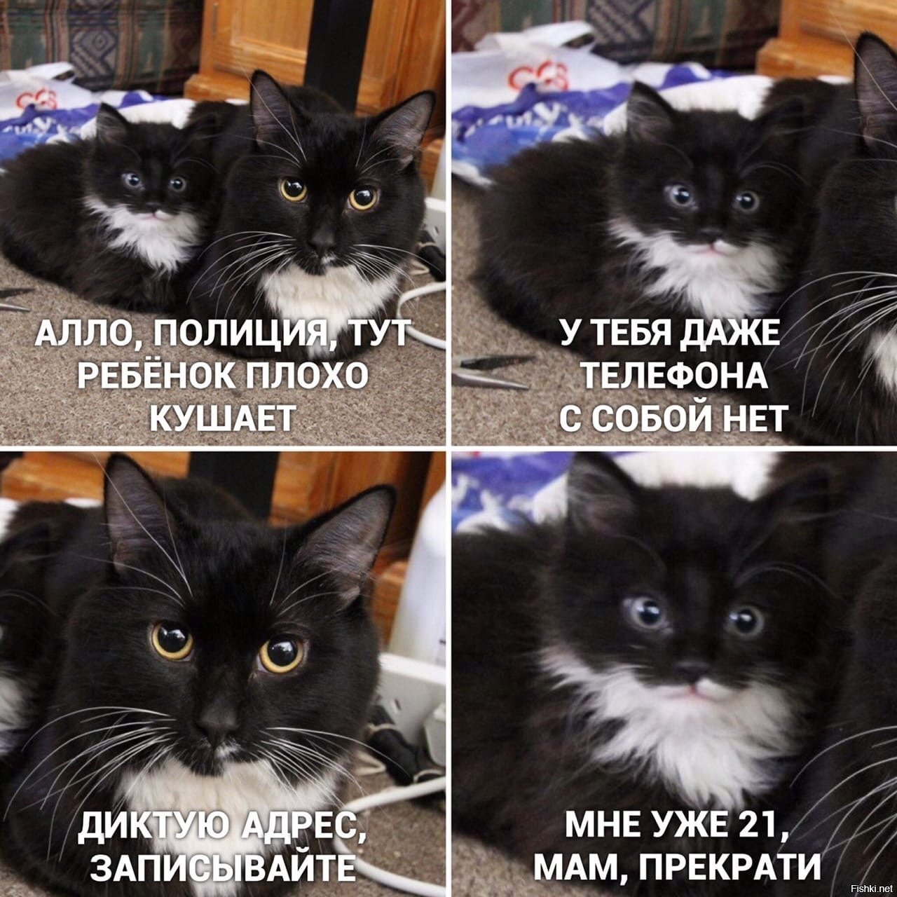Солянка