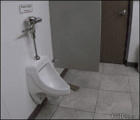 - А где тут лапы моют