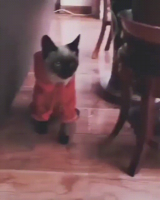 Аааа