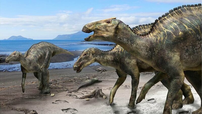 Почему динозавры так называются?