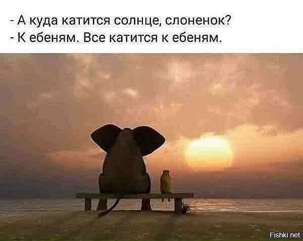 отсюда взял