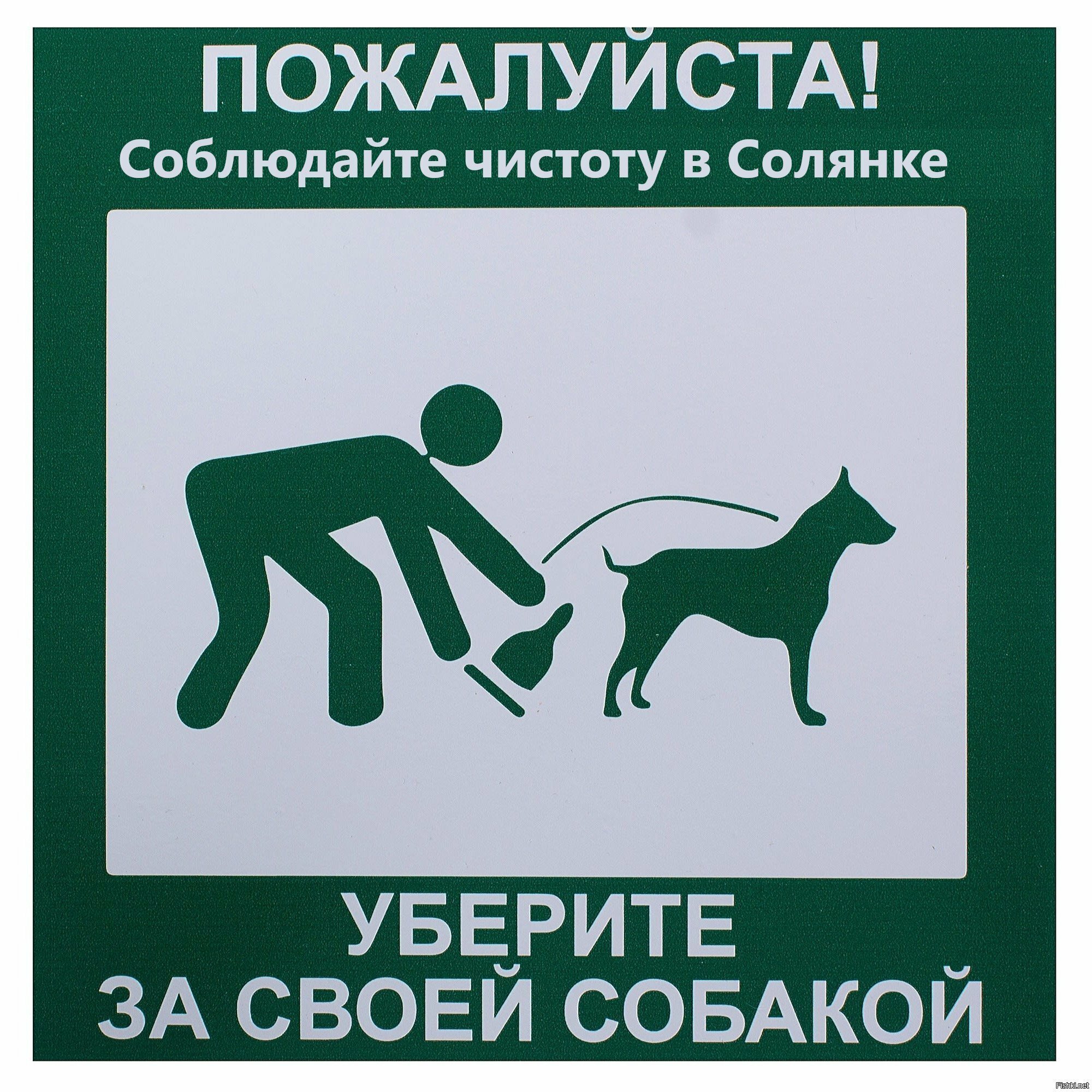 Солянка
