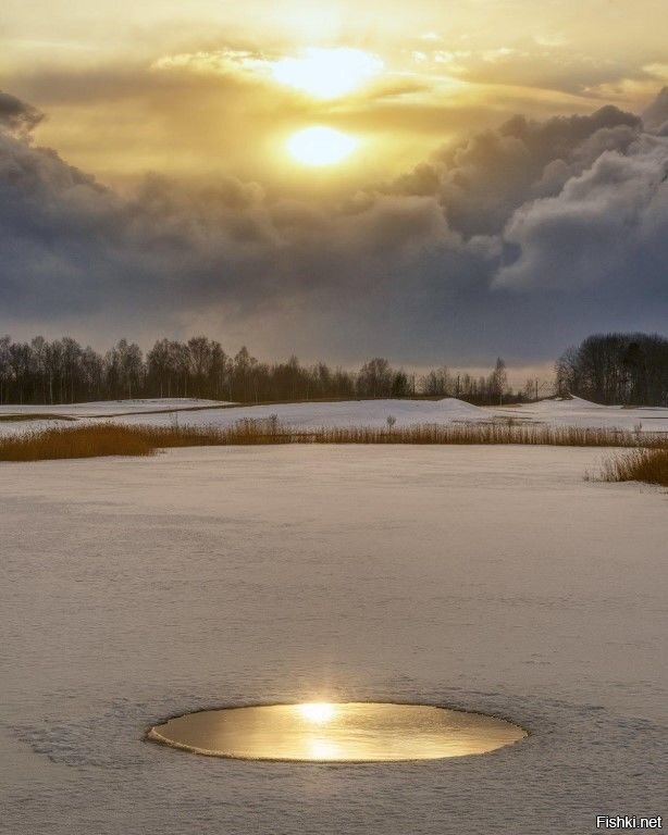 Солянка