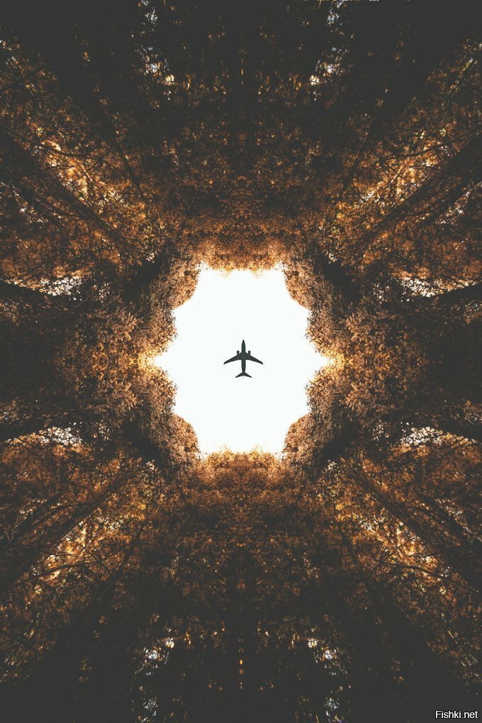 фотограф Анди То