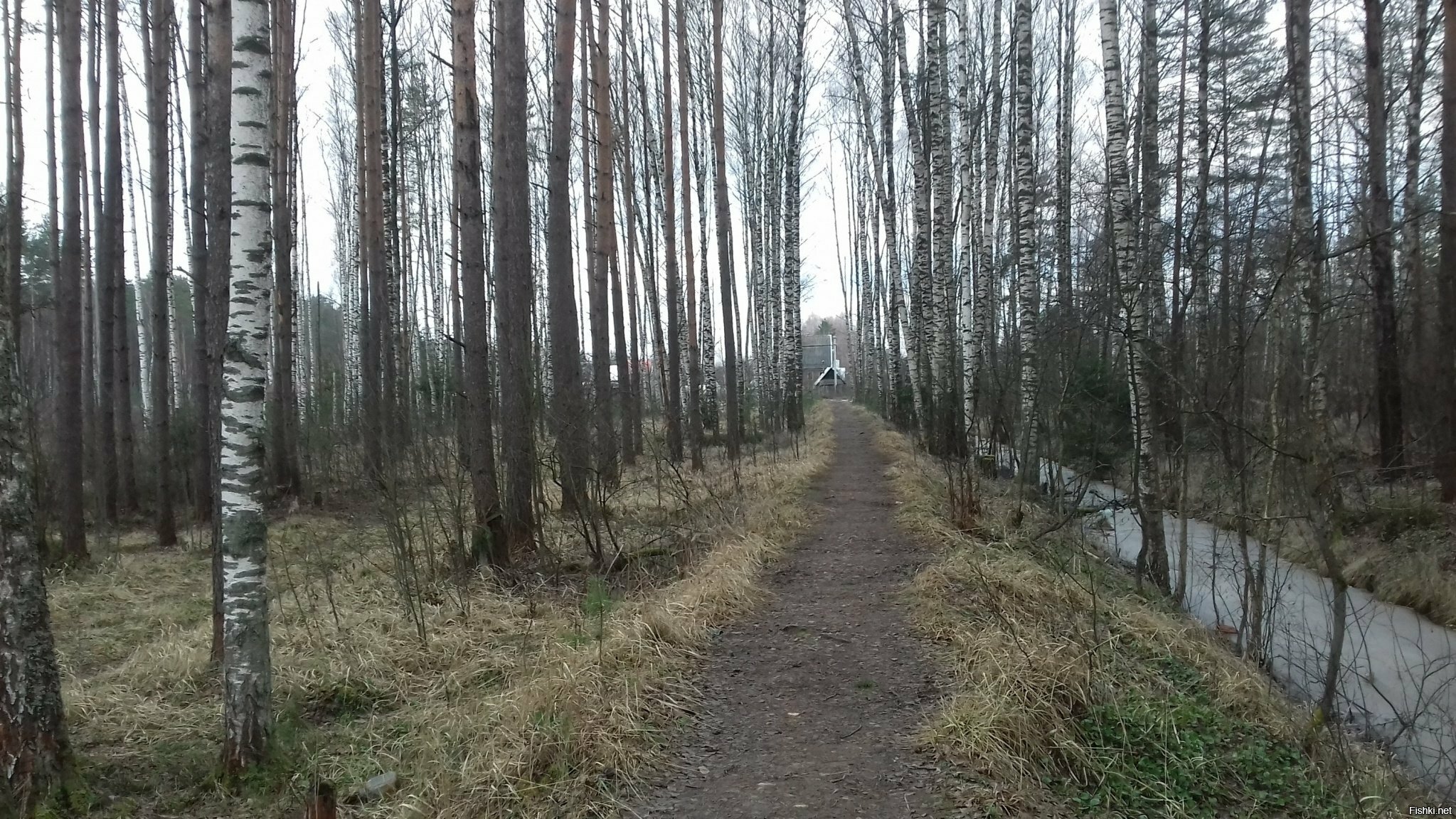 Хей, православные