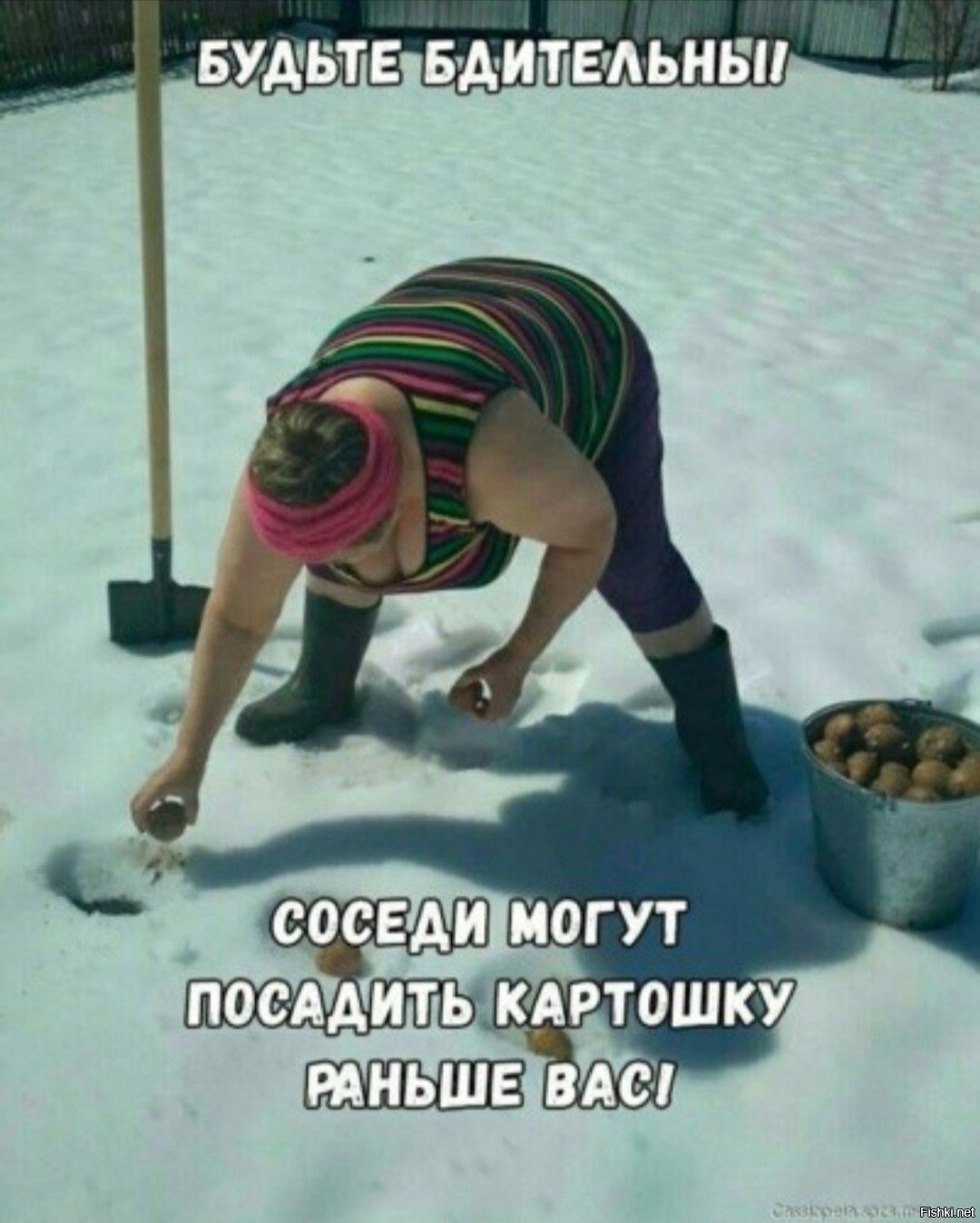 Солянка