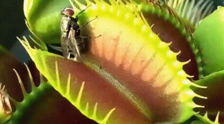 Двойное убийство
