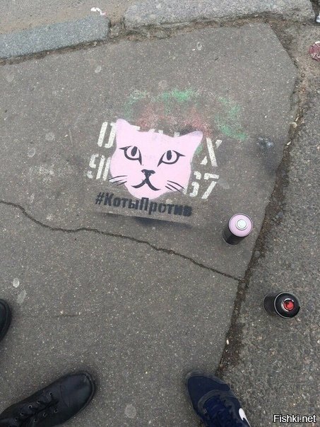Котики против наркотиков
