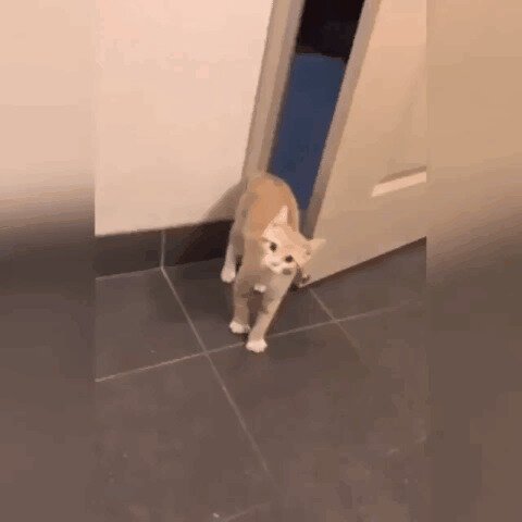 - Я лучше потом зайду