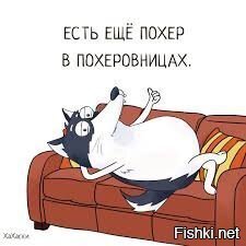 Солянка