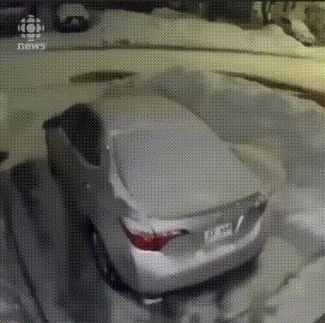 Слышали о сумасшедшем снеге в Ньюфаундленде