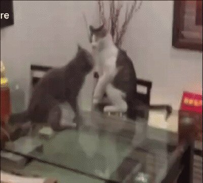 Победа удущающим