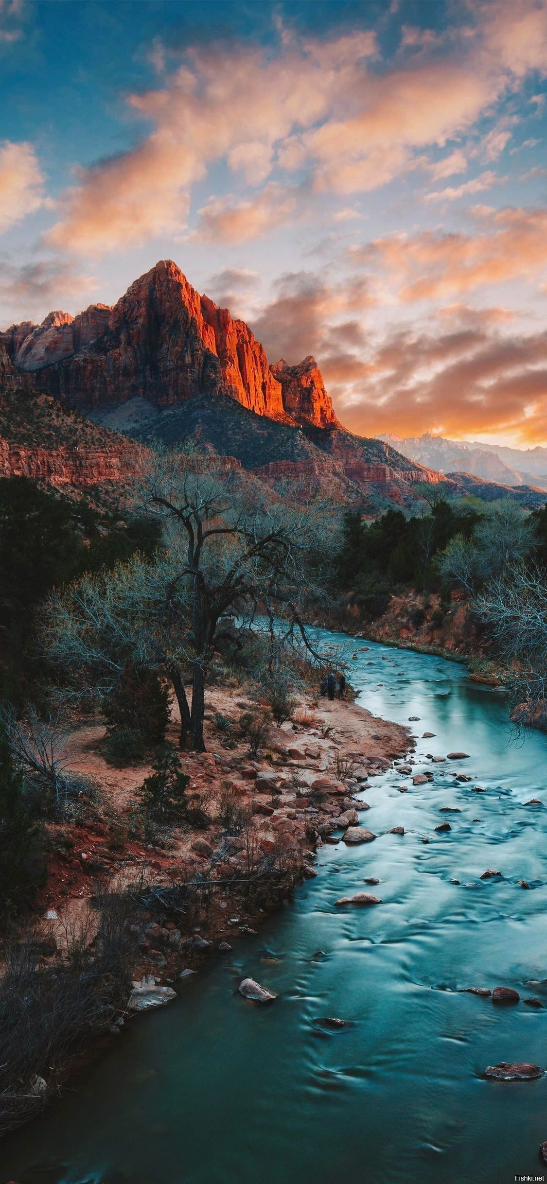 Парк Зайон (Zion) в штате Юта