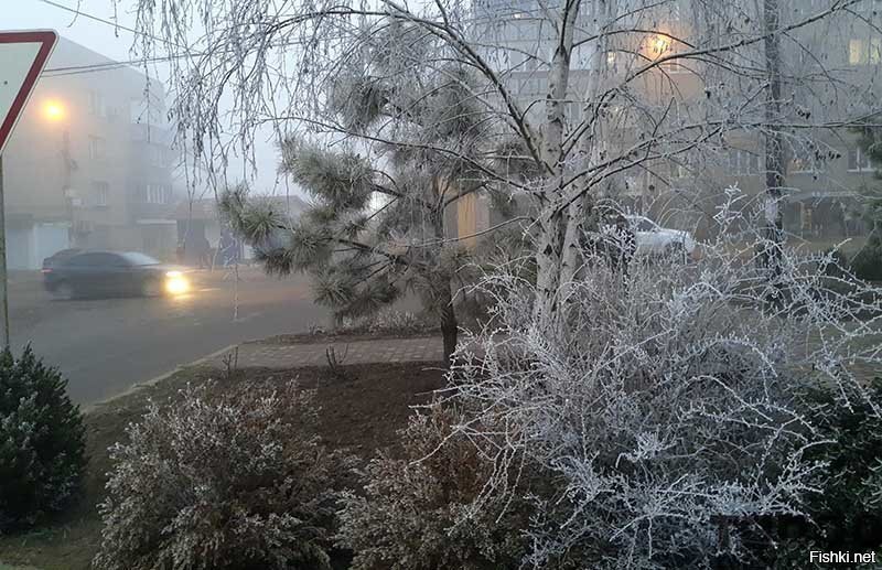 Солянка