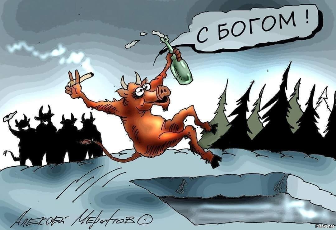 Солянка