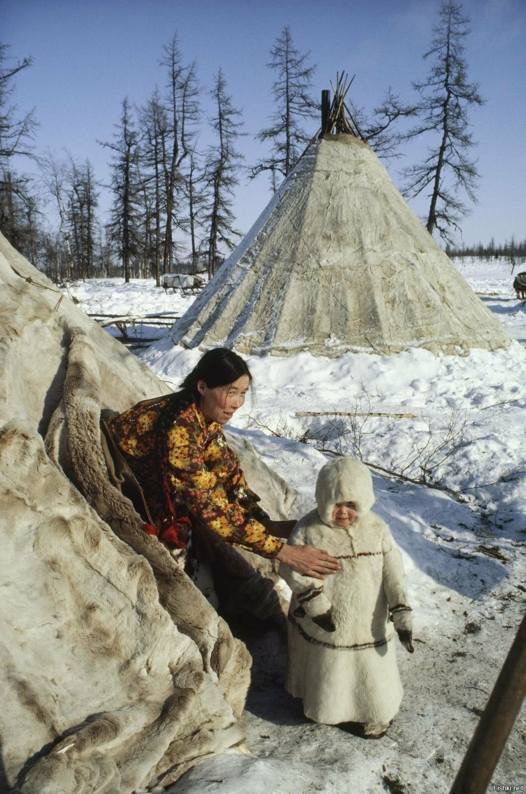 Солянка