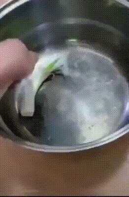 Самопожертвование