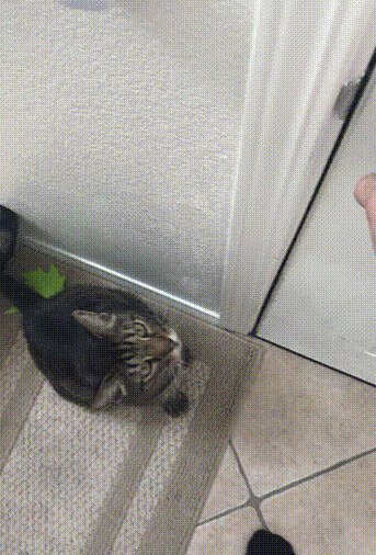 - А может и я на что сгожусь