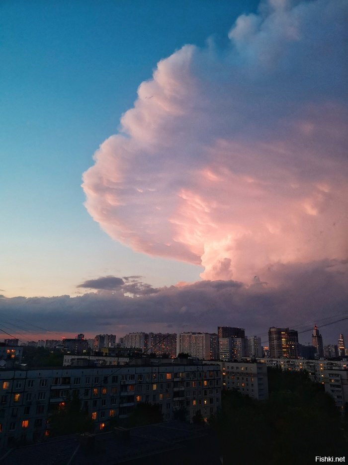Солянка