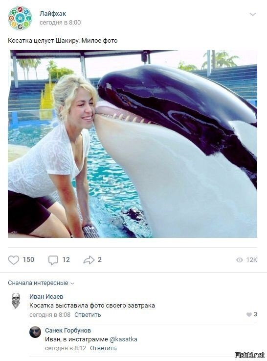 Солянка