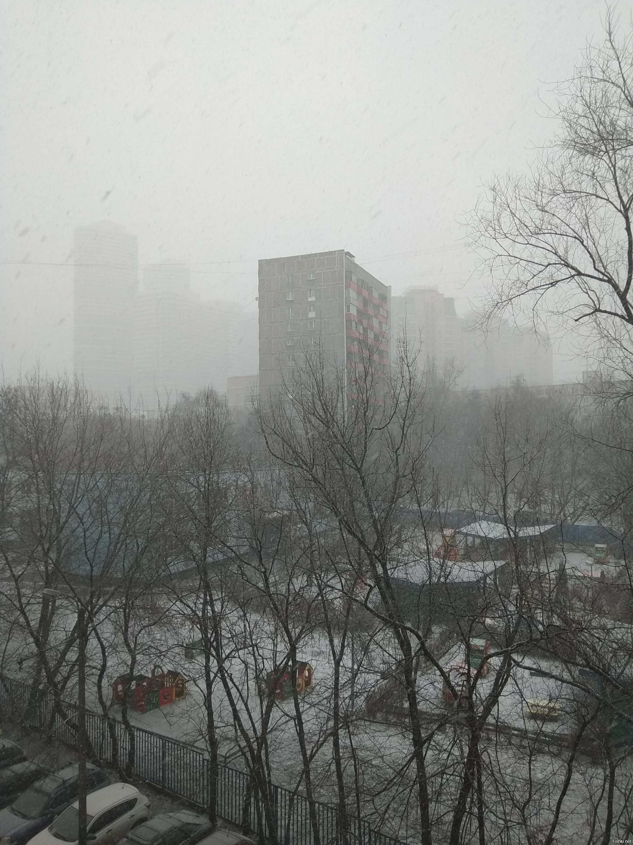 Ого, снег пошёл, 22 января, неожиданно