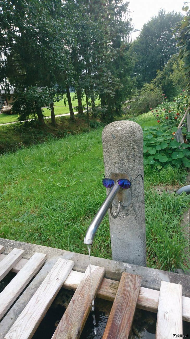Солянка