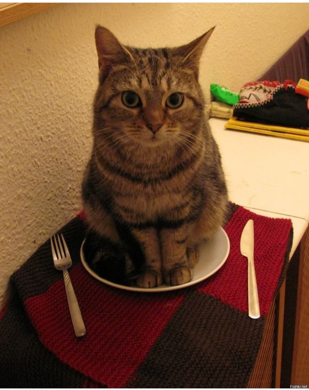 Солянка