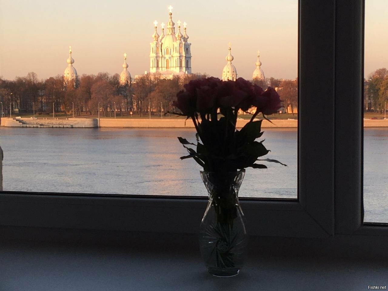 Солнечный Петербург сегодня 23